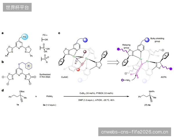 劳埃德串联盘活风暴进攻，高正负值反映其组织核心作用。